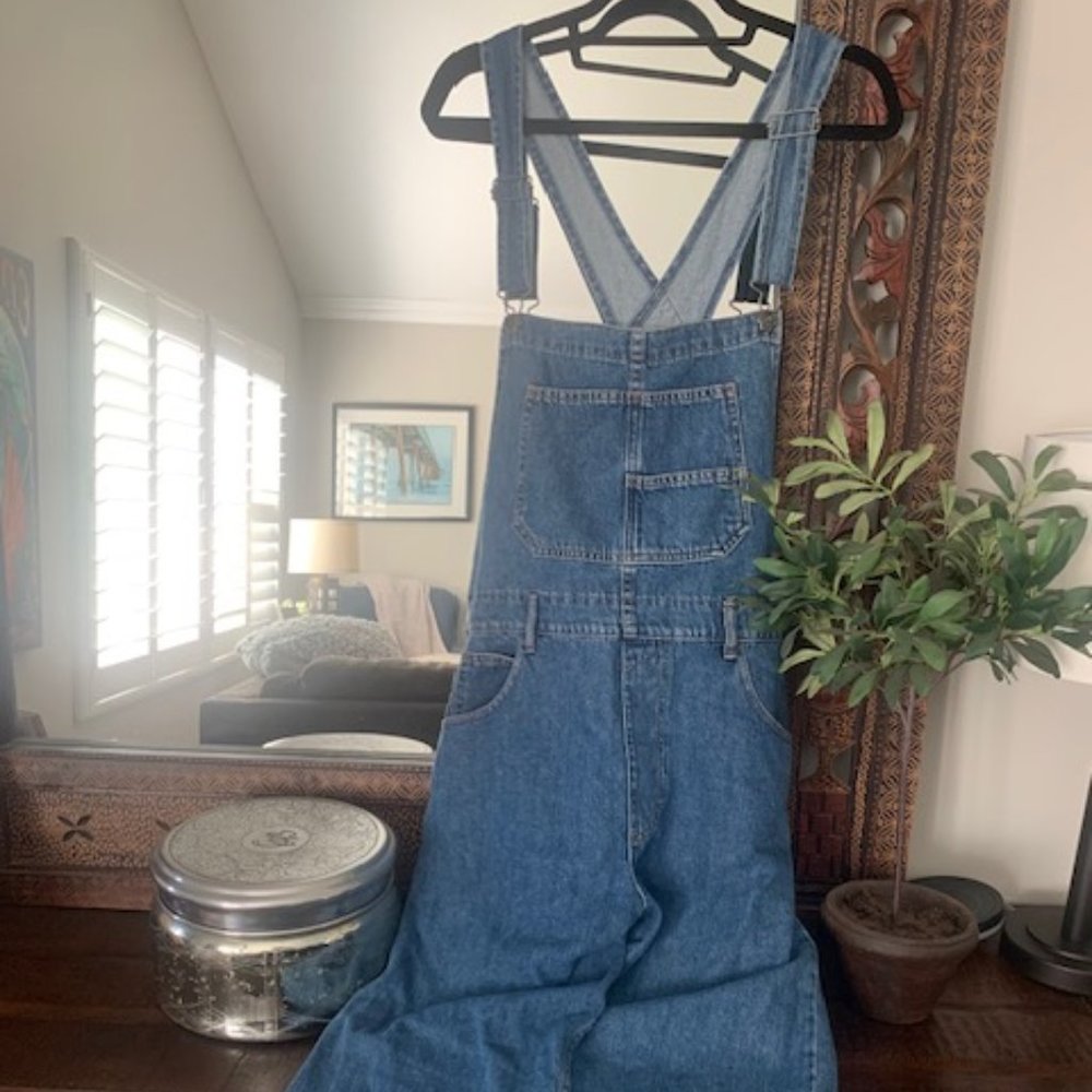 Free People Ziggy Overalls Size Large - We the Free